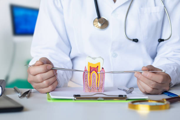 Best Pediatric Emergency Dentist in Worthington Hills, KY